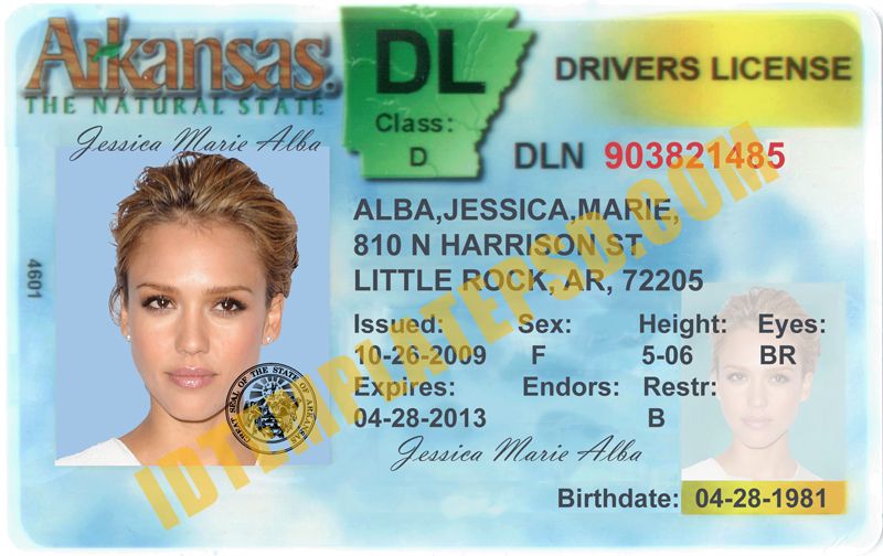 photoshop drivers license template free